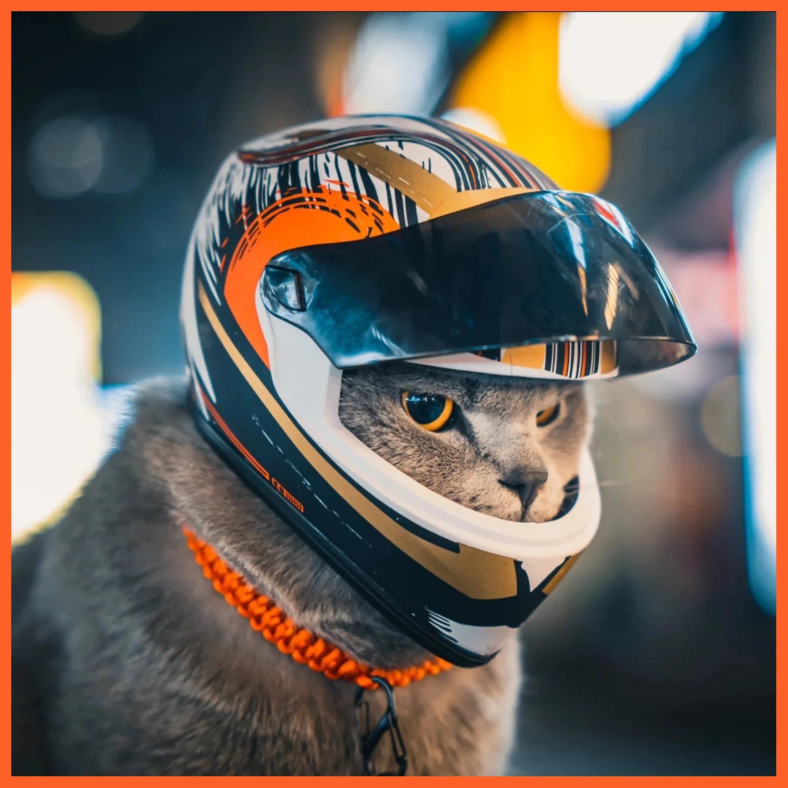 Diy Pet Helmets, Cat Helmet, Dog Helmet-Outdoor Mini Head Protecting Safe Hat, Pet Photo Props Accessories, Mini Motorcycle Helmet