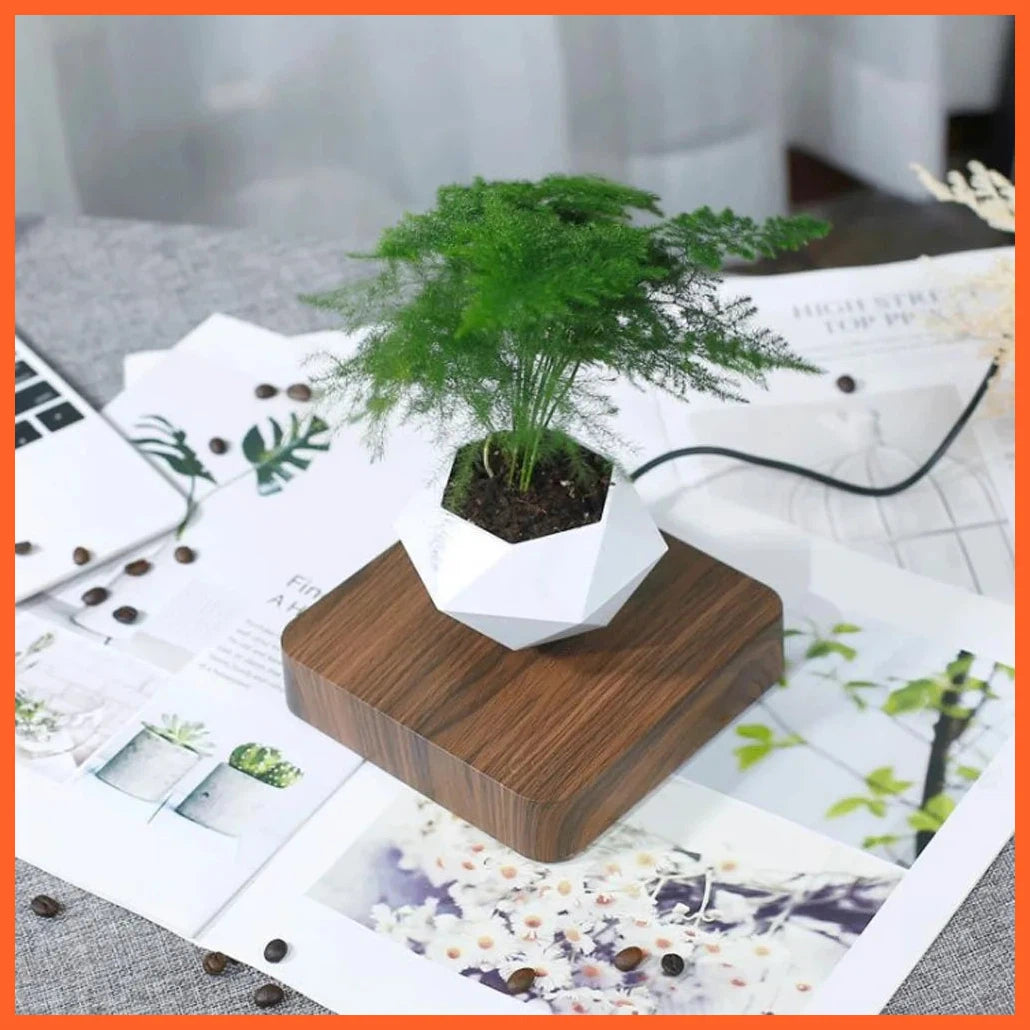 Levitating Air Bonsai Rotation Flower Pot | Magnetic Suspension Floating Pot