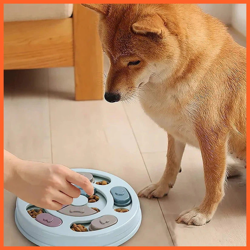 Pet Feeder Dog Educational Toys Increase Puppy Intellectual Food Dispenser Interactive Educational Feeding Toys
