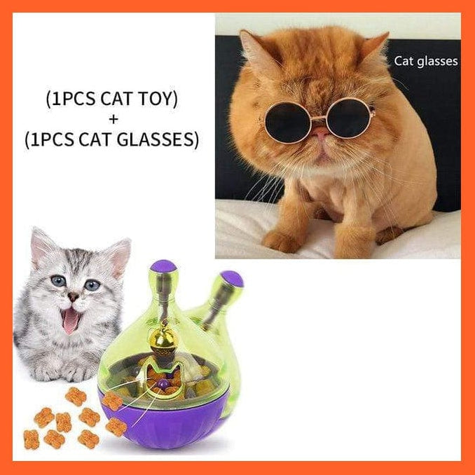 whatagift.com.au 12 Interactive Cat Toy