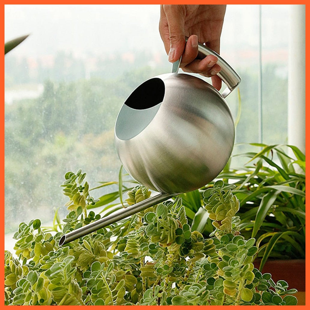 whatagift.com.au 1L Stainless Steel Garden Watering Pot | Small Watering Can With Handle For Watering Plants