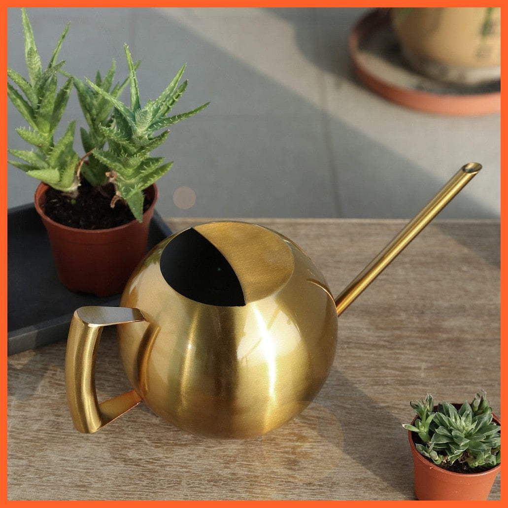whatagift.com.au 1L Stainless Steel Garden Watering Pot | Small Watering Can With Handle For Watering Plants