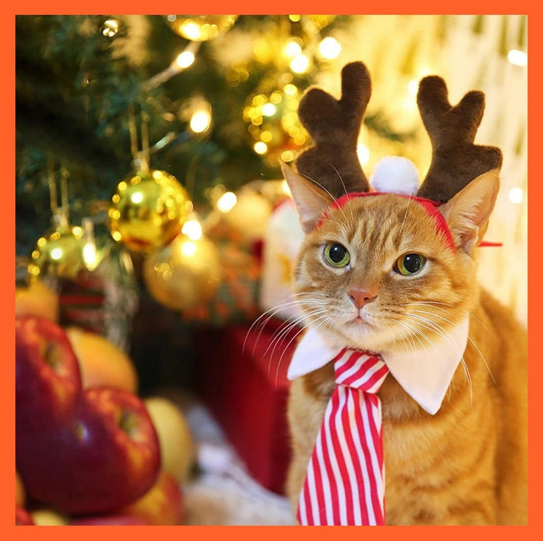 whatagift.com.au Dog Apparel Funny Christmas Cloak Cat & Dog Halloween Disguise Clothes