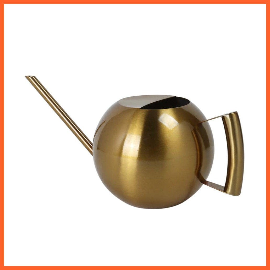 whatagift.com.au Gold 1L Stainless Steel Garden Watering Pot | Small Watering Can With Handle For Watering Plants