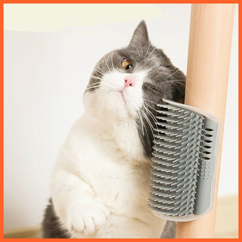 whatagift.com.au Pet Comb Removable Cat Scratching Rubbing Brush | Cat Grooming Brush