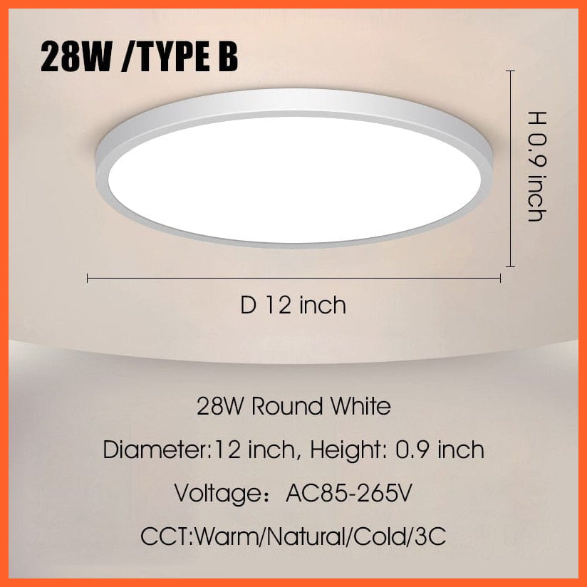 whatagift.com.au TYPE B White 28w / Cold White NO Remote Ultra Thin Led Ceiling Lam For Living Room Bedroom Indoor Lighting fixture