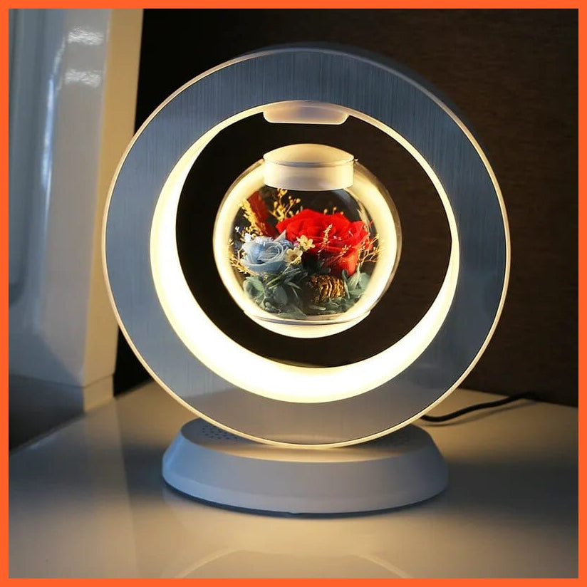whatagift.com.au 1 Style / 220V US LED Magnetic Levitating flower bedroom table lamp | Magnetic Rotatory Glass Light Gift For Home Decore