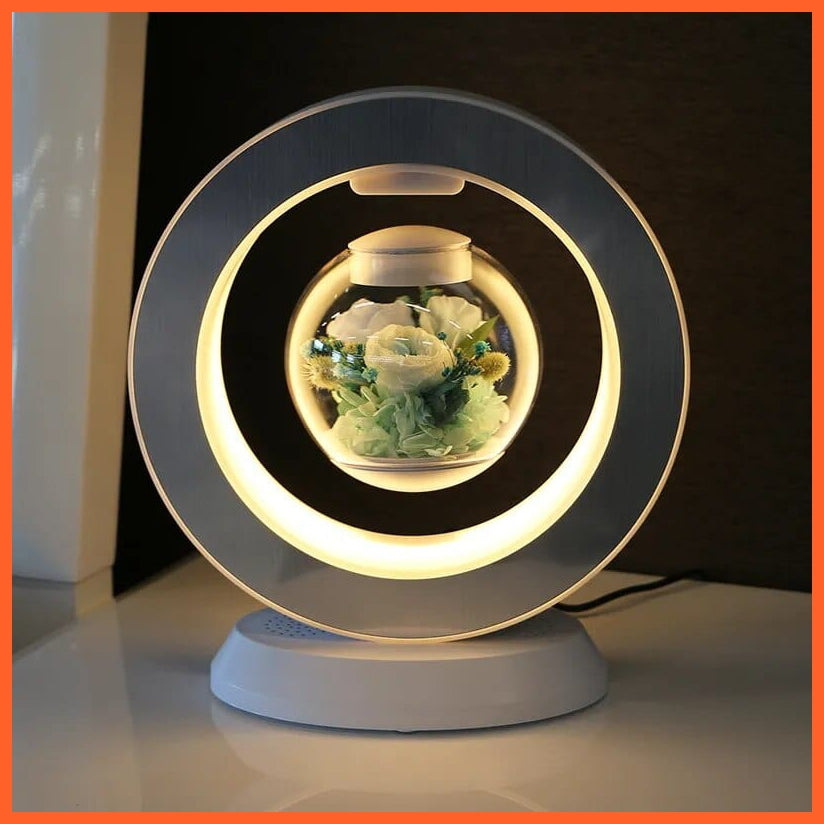 whatagift.com.au 3 Style / 220V US LED Magnetic Levitating flower bedroom table lamp | Magnetic Rotatory Glass Light Gift For Home Decore