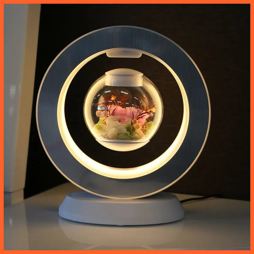 whatagift.com.au 4 Style / 220V US LED Magnetic Levitating flower bedroom table lamp | Magnetic Rotatory Glass Light Gift For Home Decore