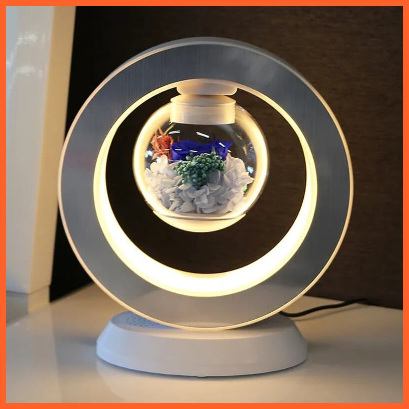 whatagift.com.au 6 Style / 220V US LED Magnetic Levitating flower bedroom table lamp | Magnetic Rotatory Glass Light Gift For Home Decore