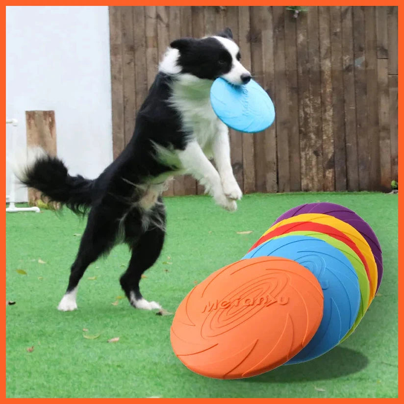 Bite Resistant Flying Disc Toys For Dog Multifunction Pet Puppy Training Toys Outdoor Interactive Game Pet Dogs Products