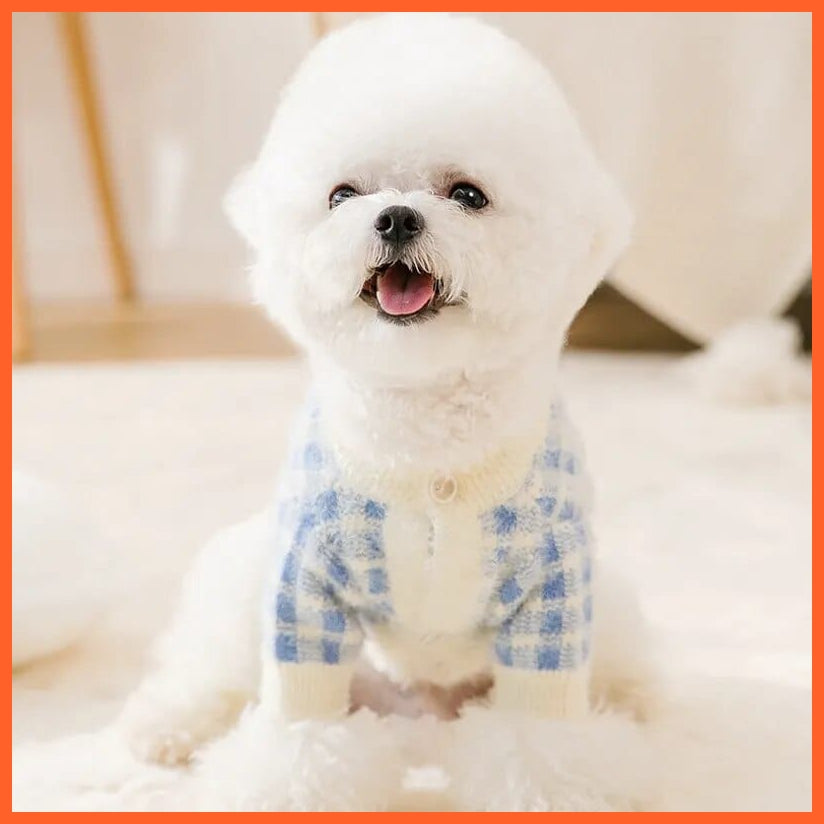 whatagift.com.au blue white / XS Striped Knitted Sweater Coat for Puppies and Kittens | Winter Clothes for Pet, Dog, Cat