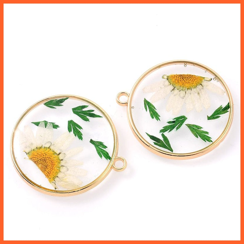 whatagift.com.au 16 4Pcs Flat Round Transparent Dried Daisy Flower Petal Resin Charms Pendant for Jewelry Making