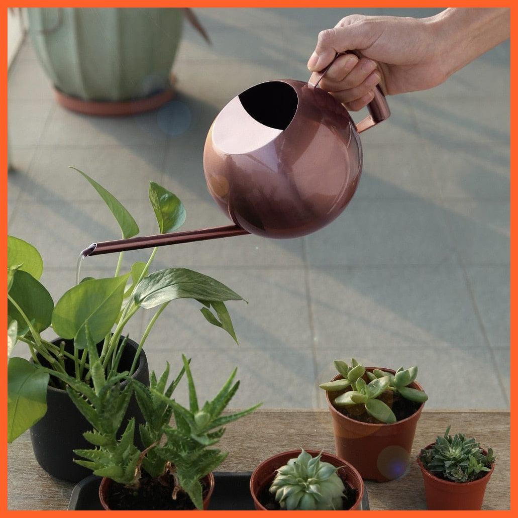 whatagift.com.au 1L Stainless Steel Garden Watering Pot | Small Watering Can With Handle For Watering Plants