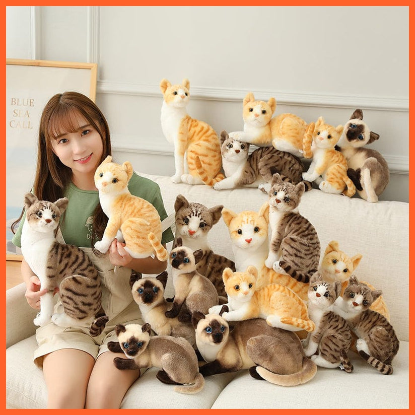 whatagift.com.au 20-45cm Super Lovely Pet Cats Soft Pillow