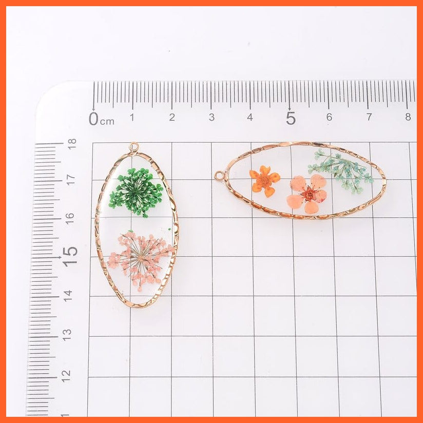 whatagift.com.au 3-4Pcs Oval Transparent Resin Real Dried Flower Petal Charms Pendant for Jewelry Making