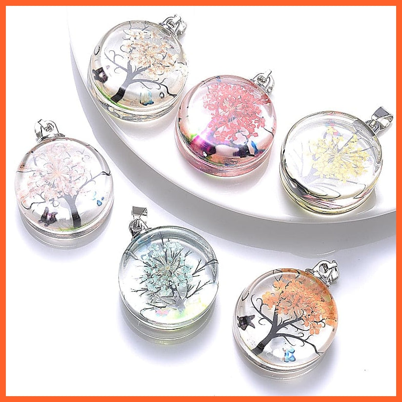 whatagift.com.au 3Pcs Clear Round Preserved Fresh Plant Resin Charms Pendant