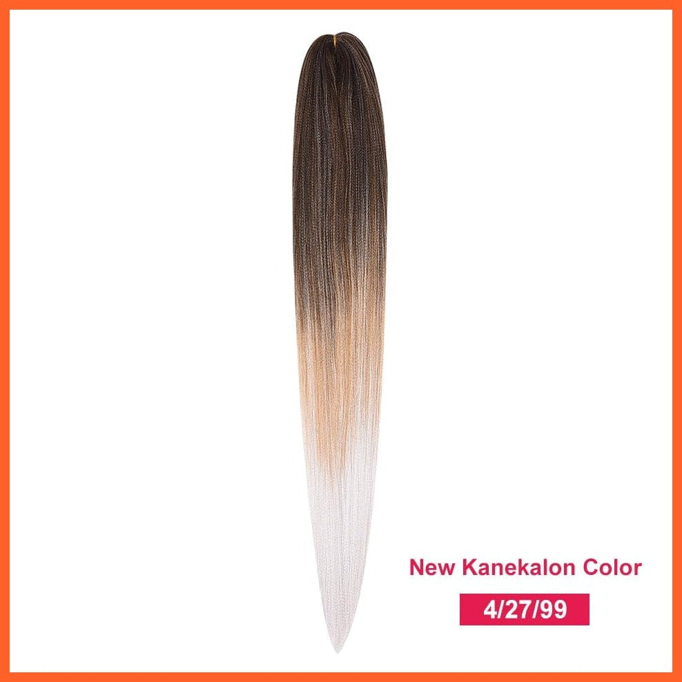 whatagift.com.au 4/30HL / 22inches / 1Pcs/Lot Synthetic 22 Inch 60G Kanekalon Hair Jumbo Braid | Yaki Straight Hair Extension Pink Blonde Twist