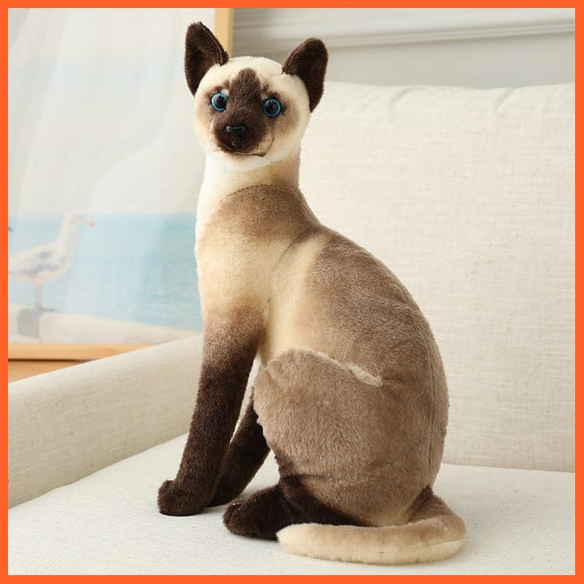 whatagift.com.au 45cm / 3 20-45cm Super Lovely Pet Cats Soft Pillow