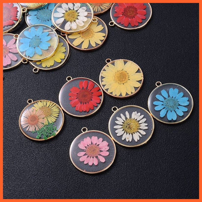 whatagift.com.au 4Pcs Flat Round Transparent Dried Daisy Flower Petal Resin Charms Pendant for Jewelry Making