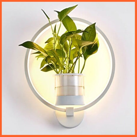 whatagift.com.au A White / Cold white Nordic Plant Wall Lamps LED Modern Minimalist Indoor Decor Light