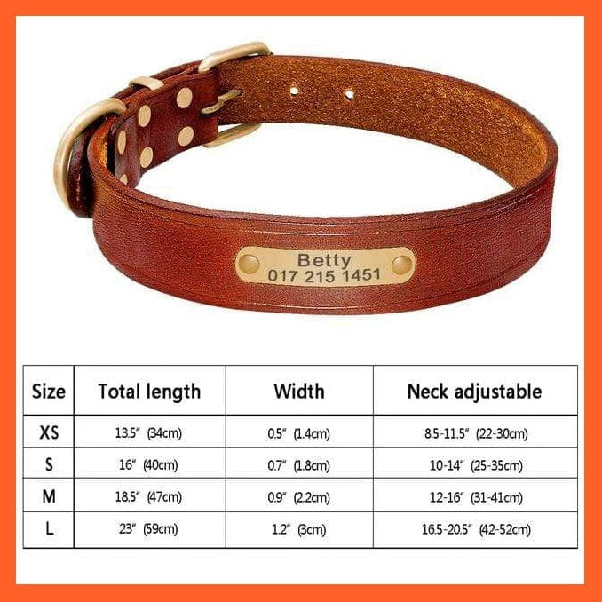 whatagift.com.au Animals & Pet Supplies 058 / S Customized Leather Dog Collar | Engraved Pet Id Tag Collars