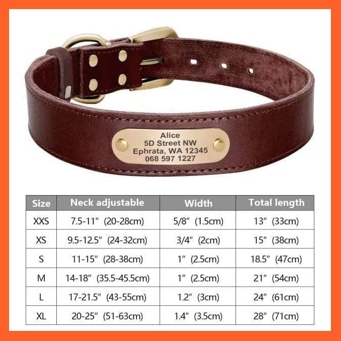 whatagift.com.au Animals & Pet Supplies 082BR / XS Customized Leather Dog Collar | Engraved Pet Id Tag Collars | For Small Medium Large Dogs French Bulldog Pug Pitbull