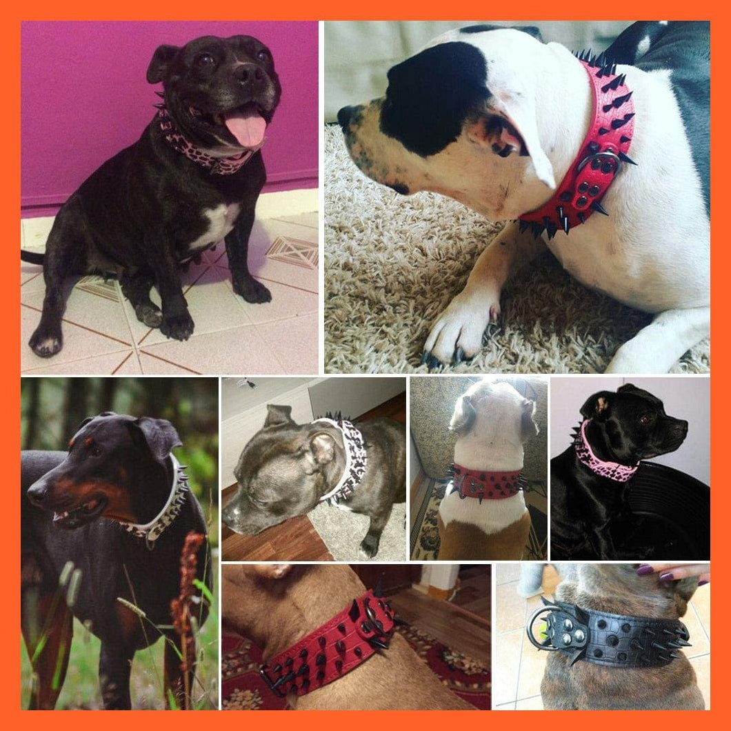 whatagift.com.au Animals & Pet Supplies 2" Wide Sharp Spiked Studded Leather Dog Collars Pitbull Bulldog Big Dog Adjustable Collar