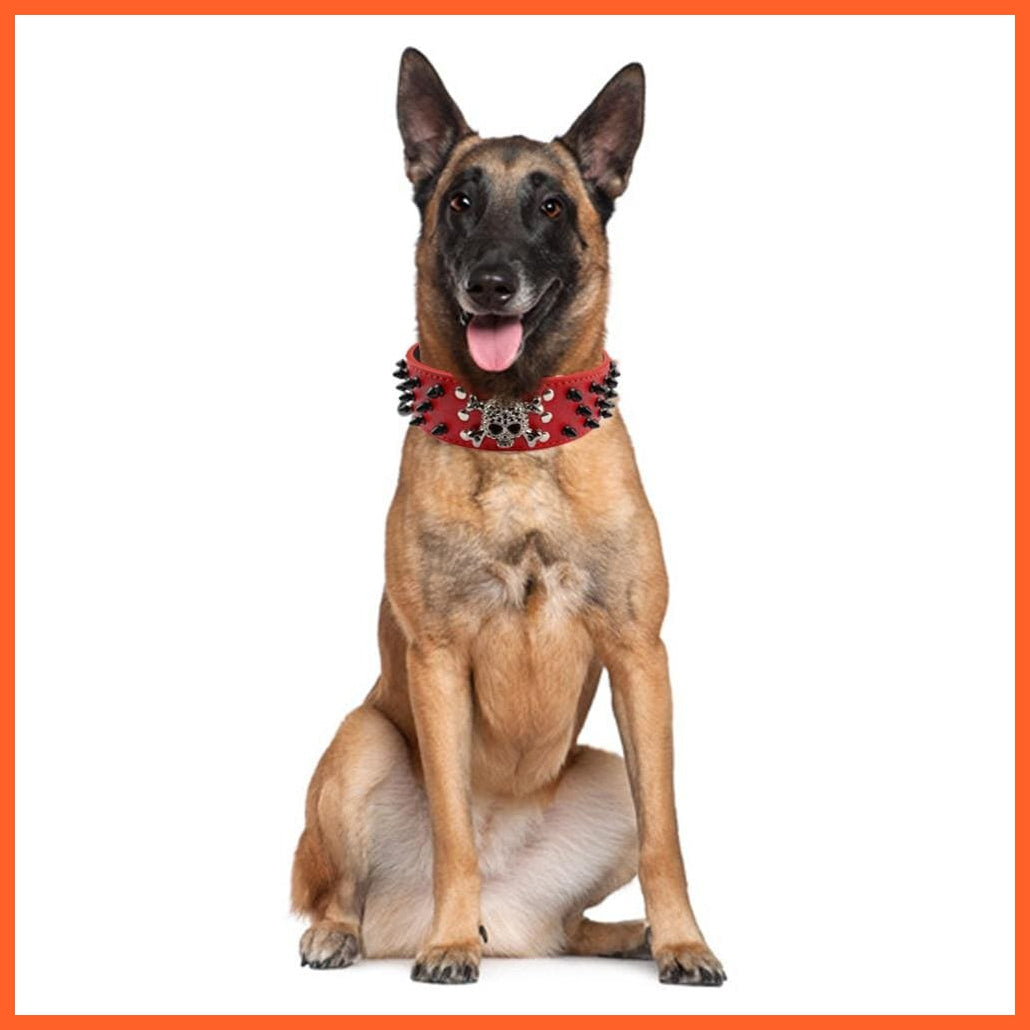 2" Wide Spiked Studded Leather Dog Collar | Bullet Rivets With Cool Skull Pet Accessories | For Medium Large Dogs Pitbull Boxer S-Xl | whatagift.com.au.