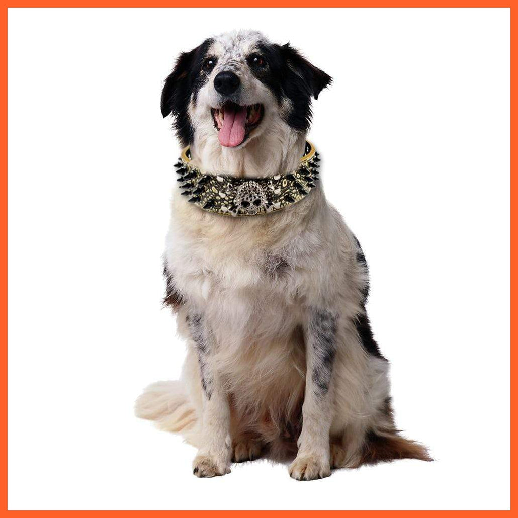 2" Wide Spiked Studded Leather Dog Collar | Bullet Rivets With Cool Skull Pet Accessories | For Medium Large Dogs Pitbull Boxer S-Xl | whatagift.com.au.