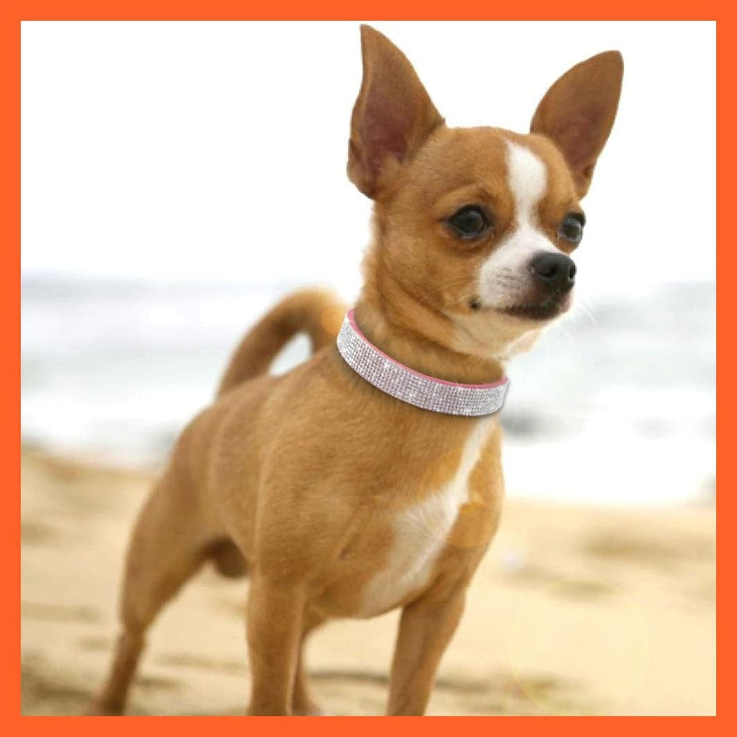 whatagift.com.au Animals & Pet Supplies Bling Leather Rhinestone Dog Cat Collars | Pet Puppy Kitten Collar Walk Leash Lead | For Small Medium Dogs Cats