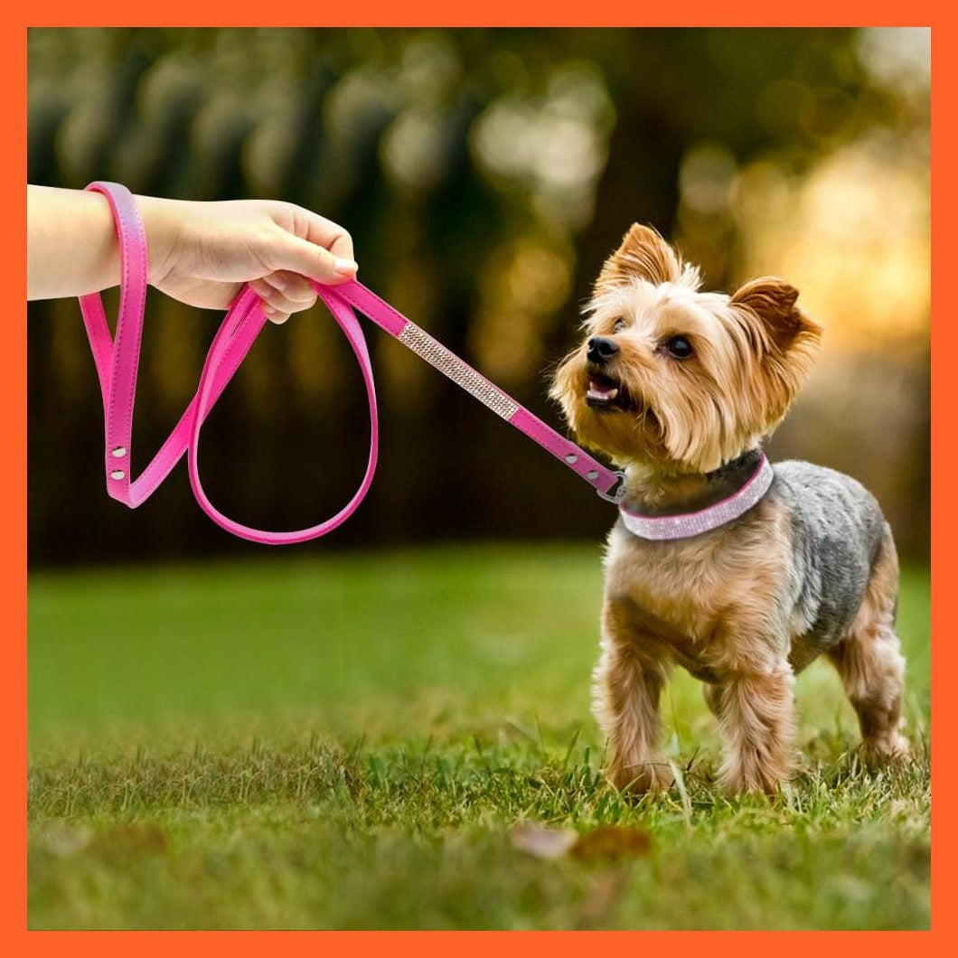 whatagift.com.au Animals & Pet Supplies Bling Leather Rhinestone Dog Cat Collars | Pet Puppy Kitten Collar Walk Leash Lead | For Small Medium Dogs Cats