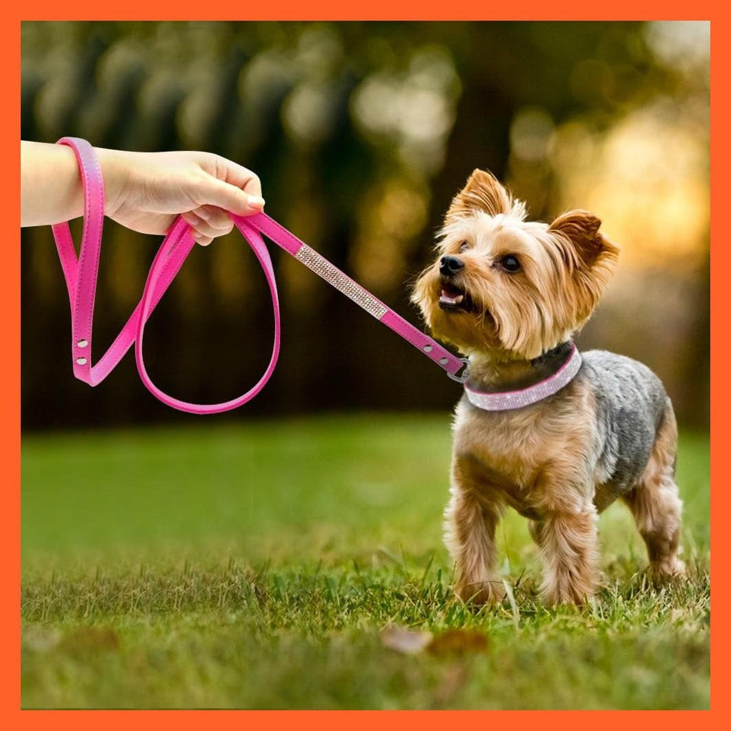 whatagift.com.au Animals & Pet Supplies Bling Leather Rhinestone Dog Cat Collars | Pet Puppy Kitten Collar Walk Leash Lead | For Small Medium Dogs Cats