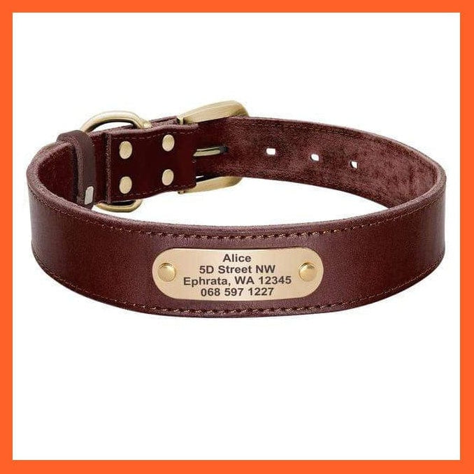 whatagift.com.au Animals & Pet Supplies Brown Collar / XXS Custom Leather Dog Collar Leash Set | Personalized Pet Collar Leash Free Engraved Nameplate | For Small Medium Large Dogs