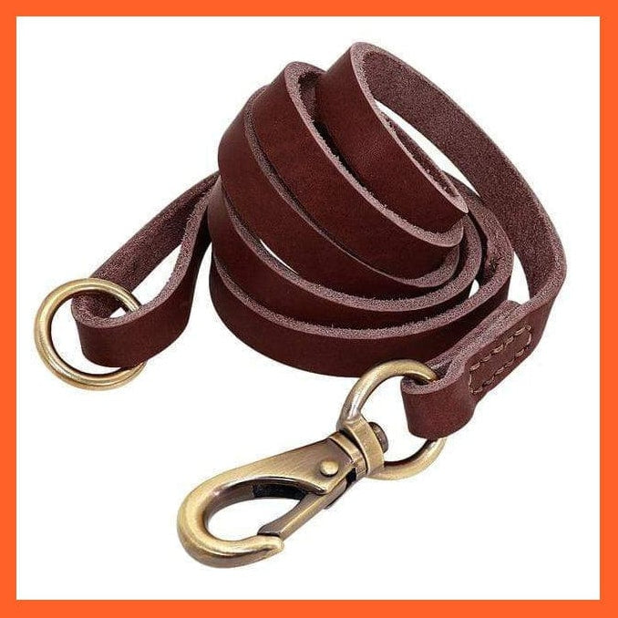 whatagift.com.au Animals & Pet Supplies Brown Leash / S Custom Leather Dog Collar Leash Set | Personalized Pet Collar Leash Free Engraved Nameplate | For Small Medium Large Dogs