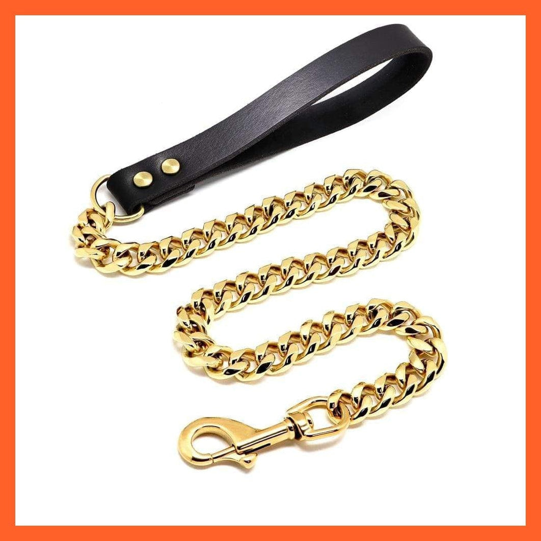 whatagift.com.au Animals & Pet Supplies Chain Collar Leash Pet Training Collar | Steel Metal Gold Dog Accessories