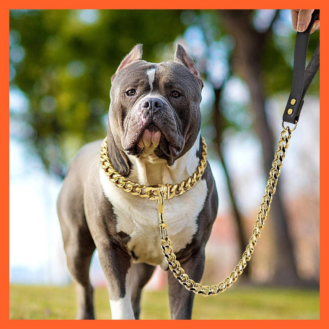 whatagift.com.au Animals & Pet Supplies Chain Collar Leash Pet Training Collar | Steel Metal Gold Dog Accessories