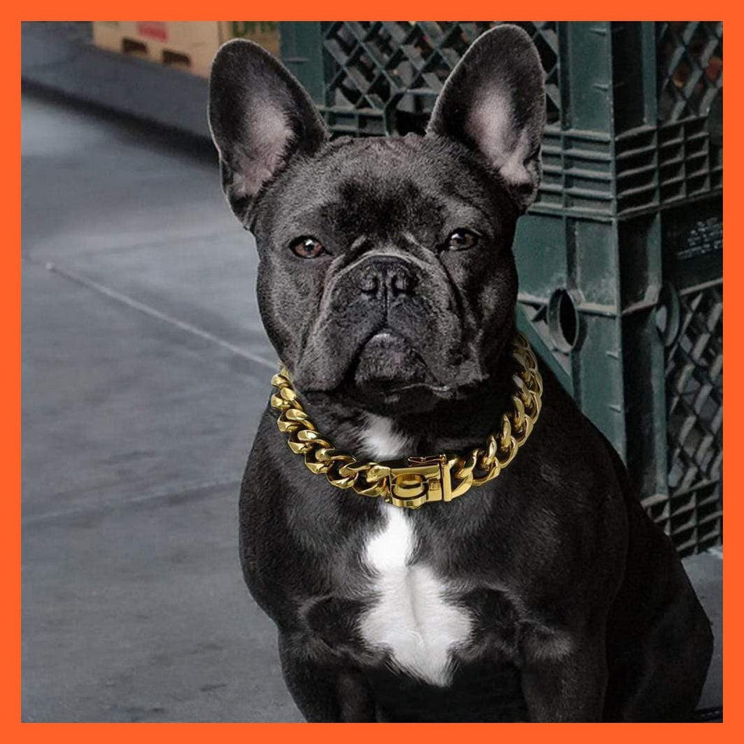 whatagift.com.au Animals & Pet Supplies Chain Collar Leash Pet Training Collar | Steel Metal Gold Dog Accessories