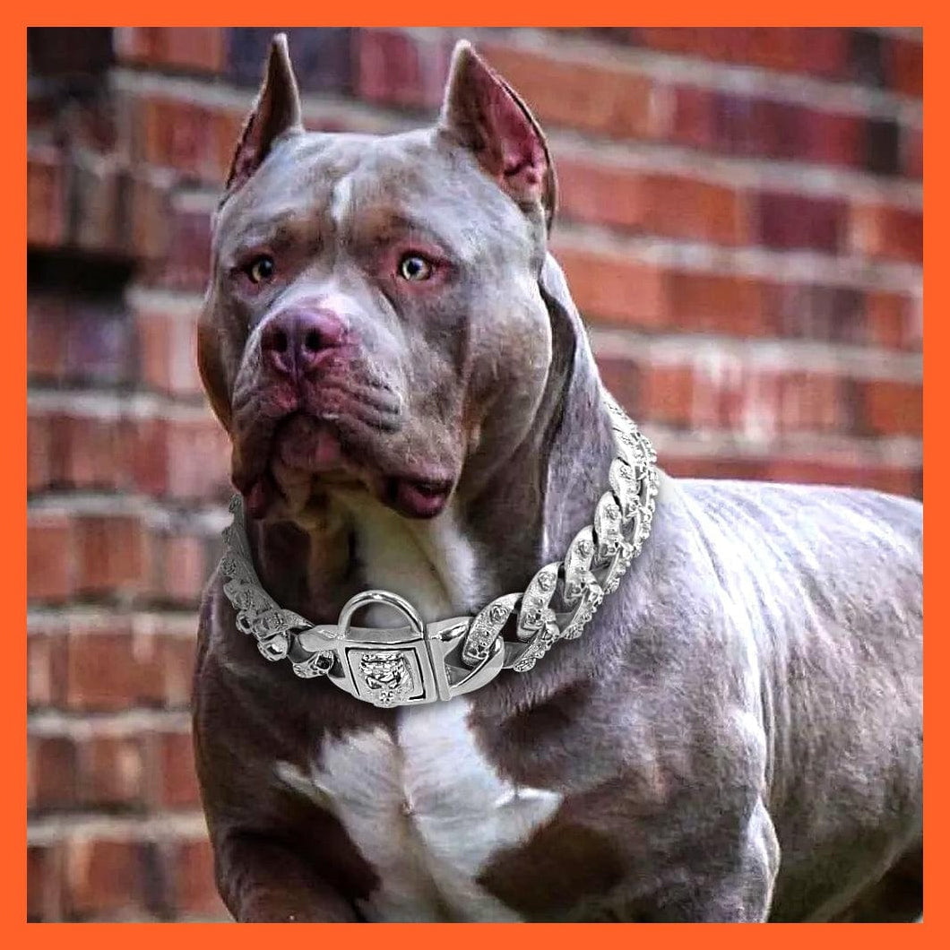 whatagift.com.au Animals & Pet Supplies Copy of Strong Pet Dog Chain Collar Stainless Steel | Gold Silver Pets Training Collars Metal Rhinestone Collar | For Medium Large Dogs Pitbull Bulldog