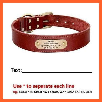 whatagift.com.au Animals & Pet Supplies Custom Leather Dog Collar Leash Set | Personalized Pet Collar Leash Free Engraved Nameplate | For Small Medium Large Dogs