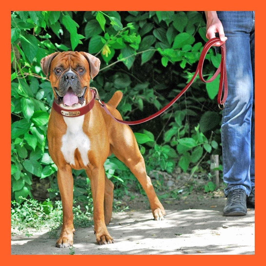 whatagift.com.au Animals & Pet Supplies Custom Leather Dog Collar | Personalized Engraved Pet Collar Leash Set