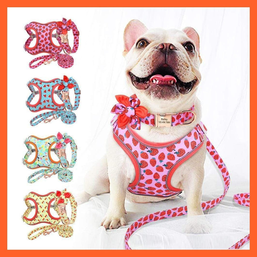 whatagift.com.au Animals & Pet Supplies Custom Printed Dog Collar Leash Set | Personalized Pet Dog Collar Harnesses Walking Leash | For Medium Large Dogs