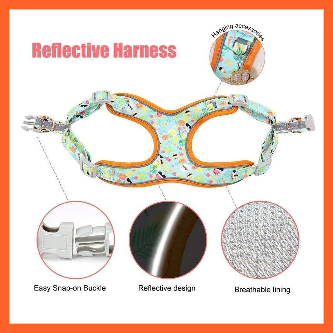 whatagift.com.au Animals & Pet Supplies Custom Printed Dog Collar Leash Set | Personalized Pet Dog Collar Harnesses Walking Leash | For Medium Large Dogs