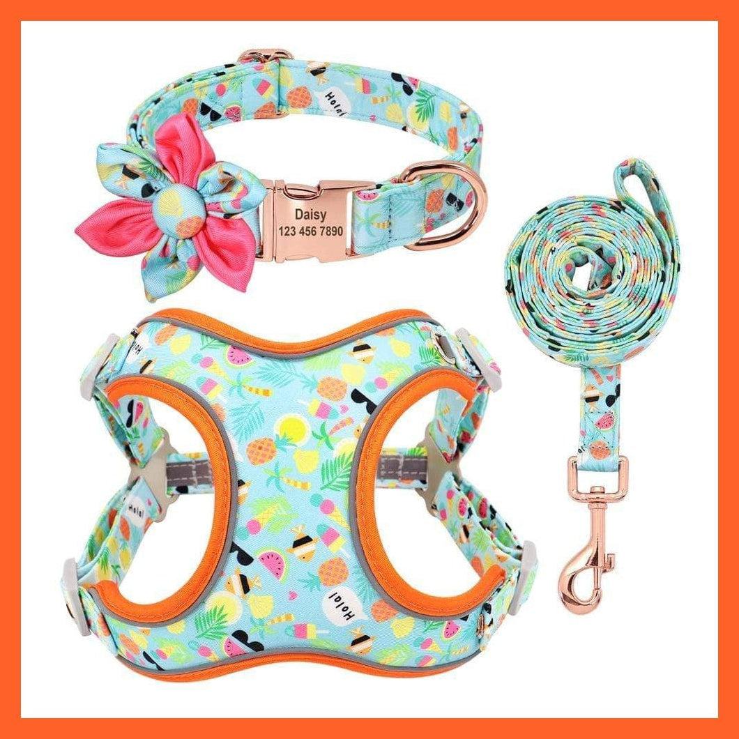 whatagift.com.au Animals & Pet Supplies Custom Printed Dog Collar Leash Set | Personalized Pet Dog Collar Harnesses Walking Leash | For Medium Large Dogs