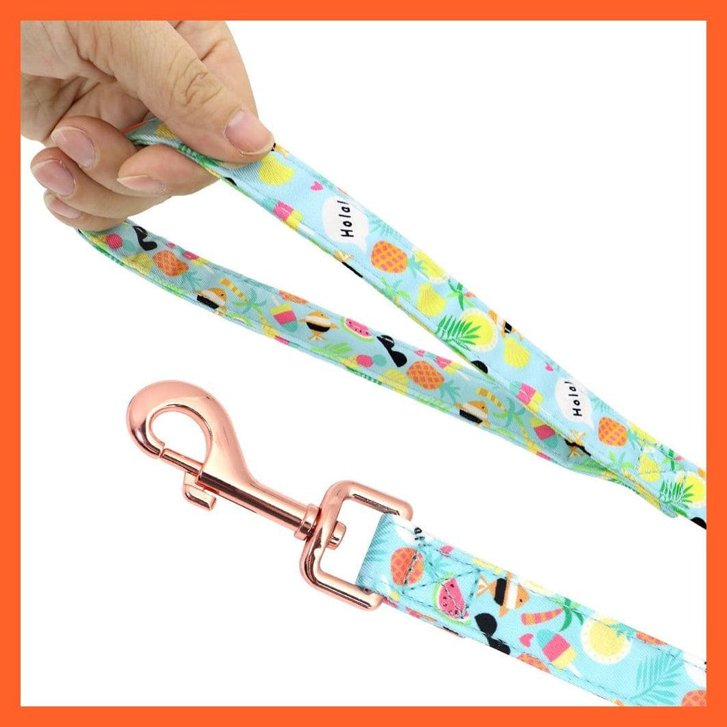 whatagift.com.au Animals & Pet Supplies Custom Printed Dog Collar Leash Set | Personalized Pet Dog Collar Harnesses Walking Leash | For Medium Large Dogs