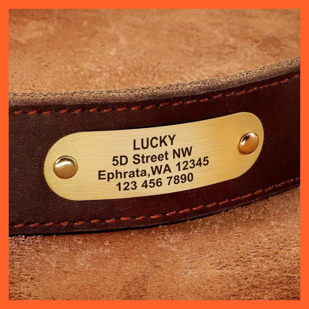 whatagift.com.au Animals & Pet Supplies Customized Leather Dog Collar | Engraved Pet Id Tag Collars
