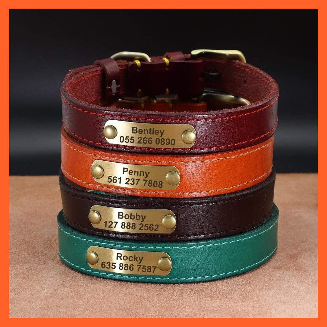 whatagift.com.au Animals & Pet Supplies Customized Leather Dog Collar | Engraved Pet Id Tag Collars