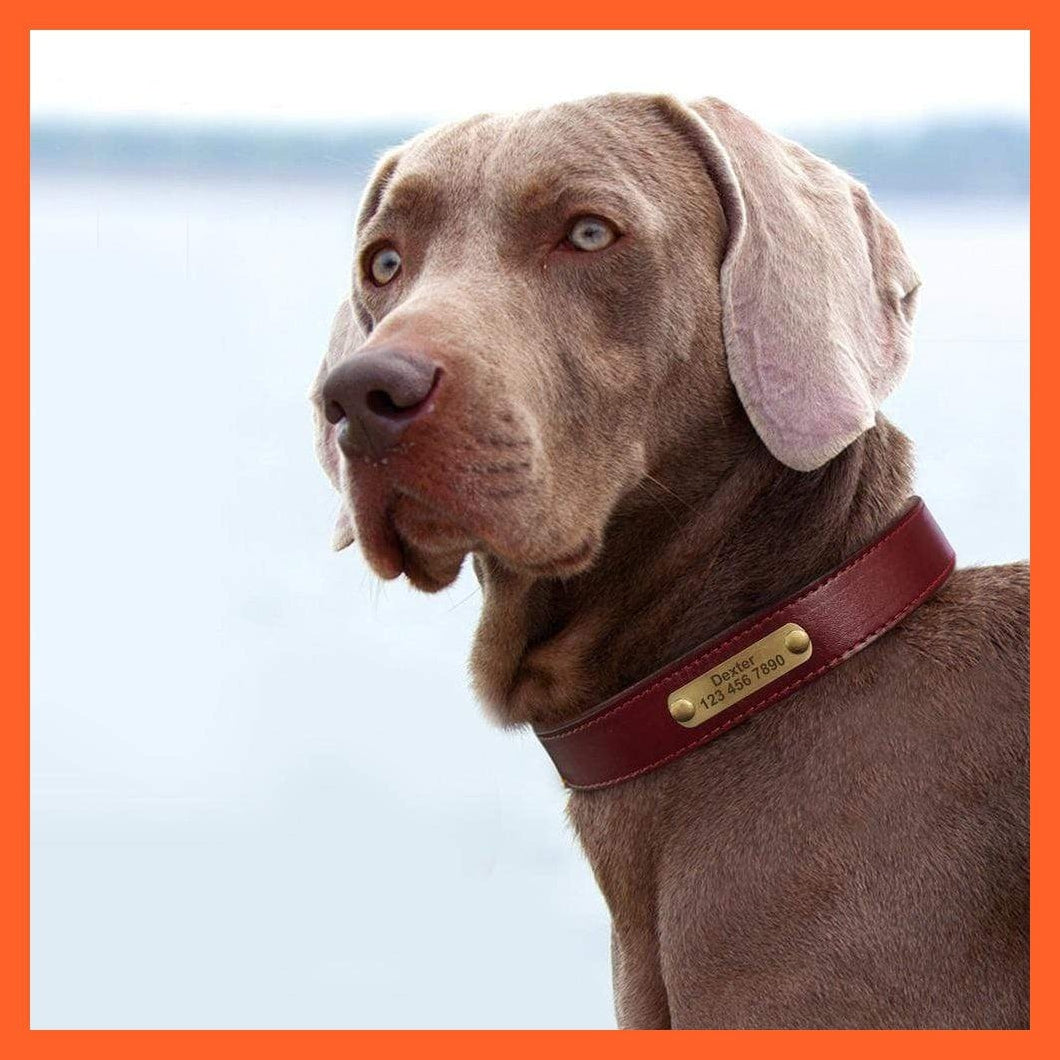 whatagift.com.au Animals & Pet Supplies Customized Leather Dog Collar | Engraved Pet Id Tag Collars