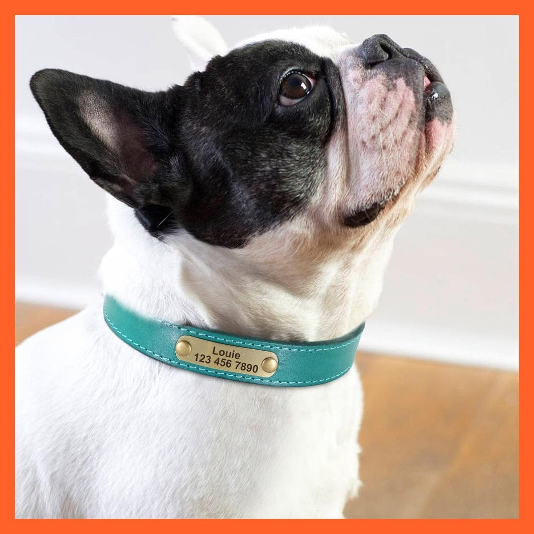 whatagift.com.au Animals & Pet Supplies Customized Leather Dog Collar | Engraved Pet Id Tag Collars