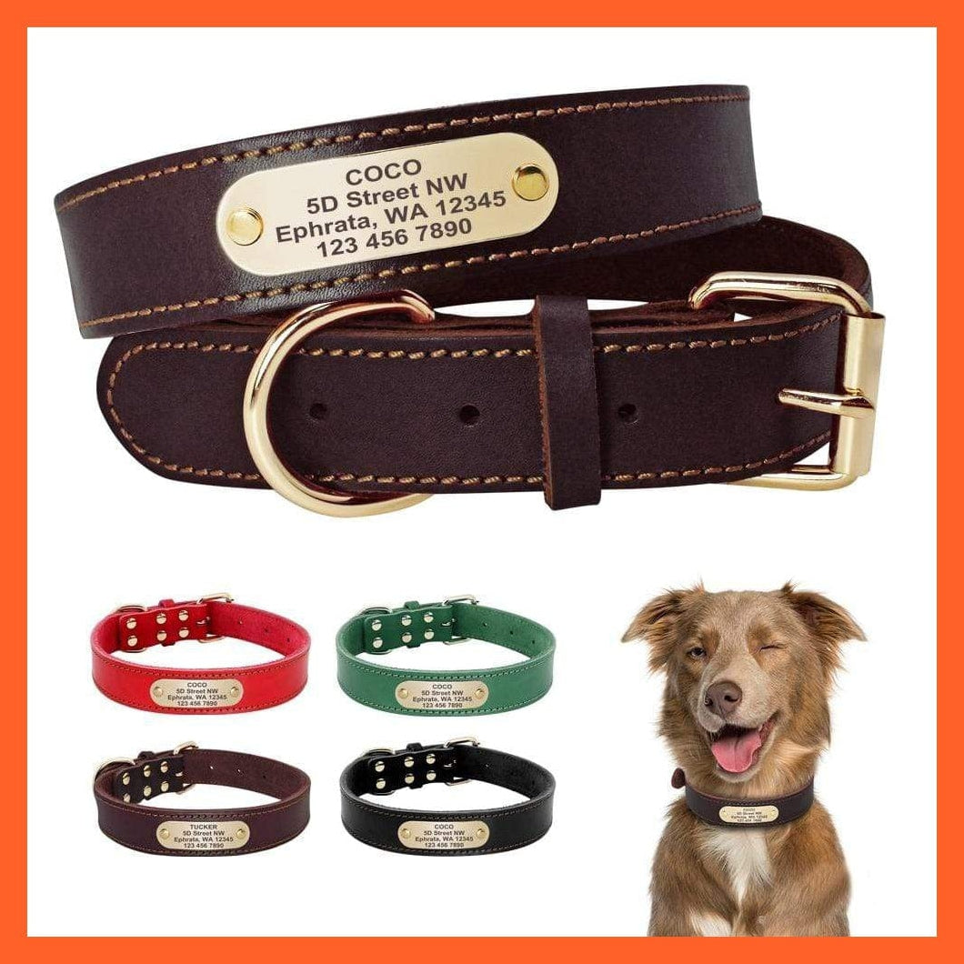 whatagift.com.au Animals & Pet Supplies Customized Leather Dog Collar | Engraved Pet Id Tag Collars